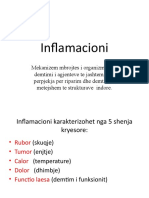 Inflamacioni - 2019-2020