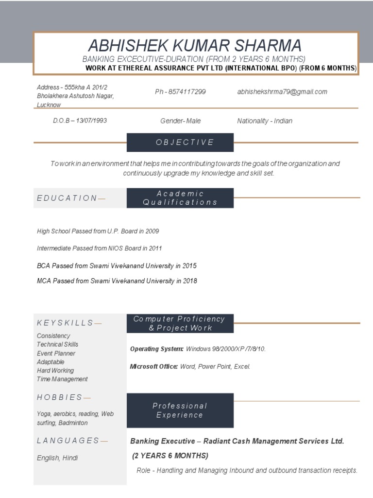 Banking Executive Resume Overview PDF Sales Service Industries