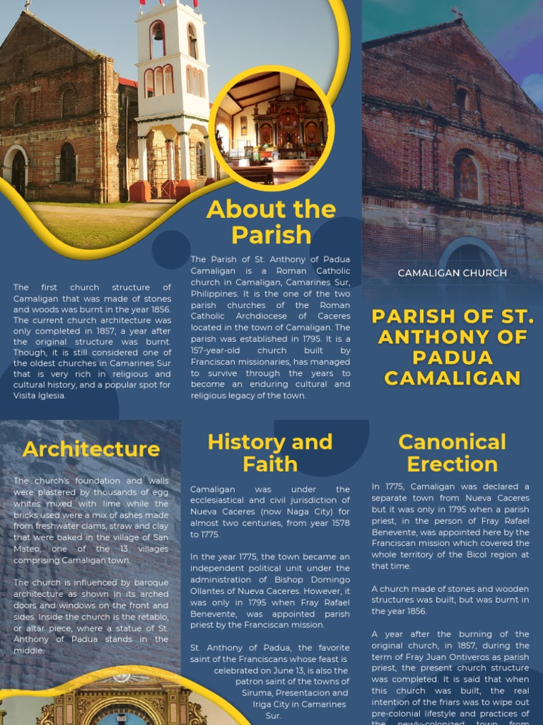 ACTIVITY (Pamphlet) | PDF