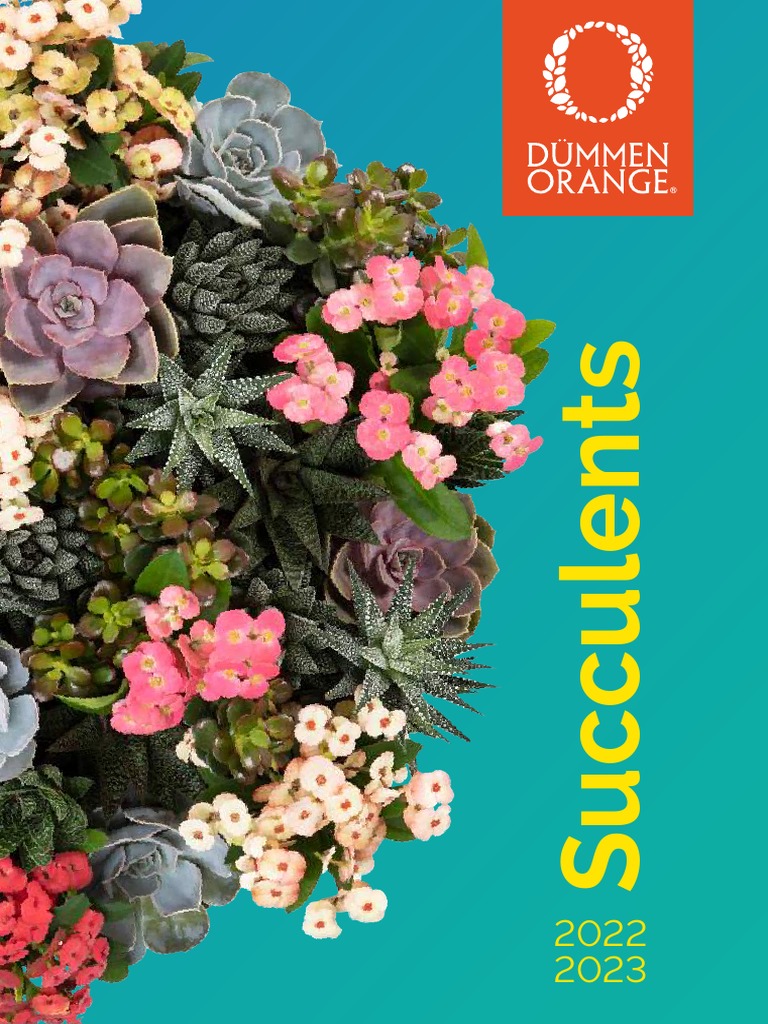 succulents-catalog-2022-2023-online-pdf-plant-breeding-organisms