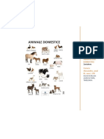 Reproducția Animalelor Domestice - Cazacu Alexandru, An III, Sem I, IFR - Agro