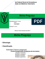 APRESENTAÇÃO Bicho Preguiça em PDF