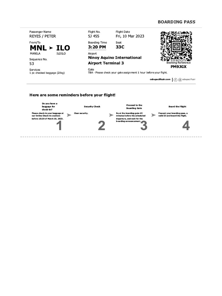 Can I Use My Passport To Fly Domestically