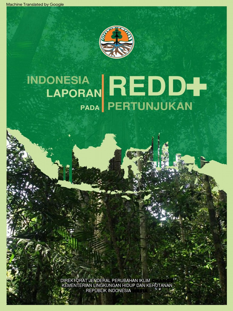 Indonesia Report On REDD+ Performance | PDF