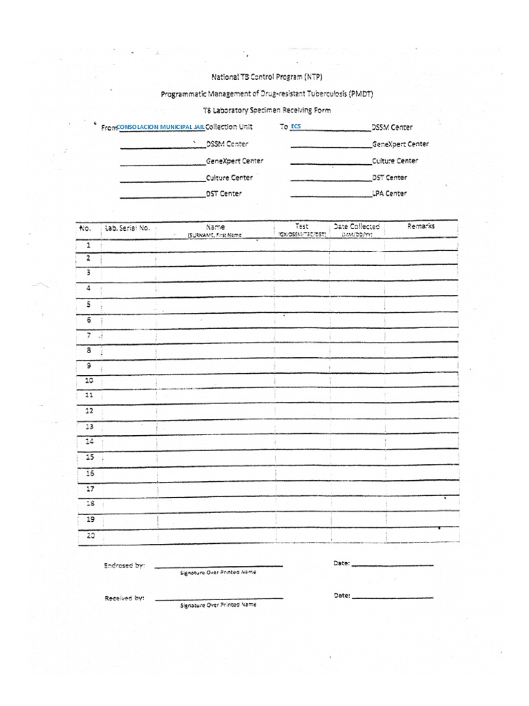 Tally Sheet | PDF