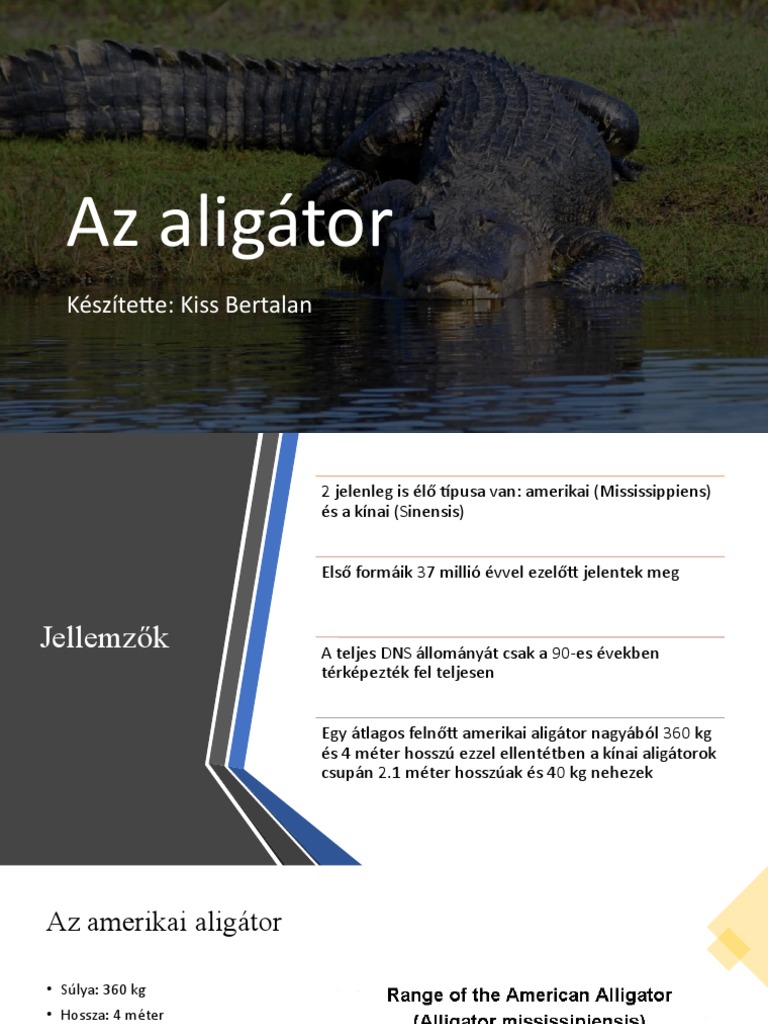 Aligátor | PDF