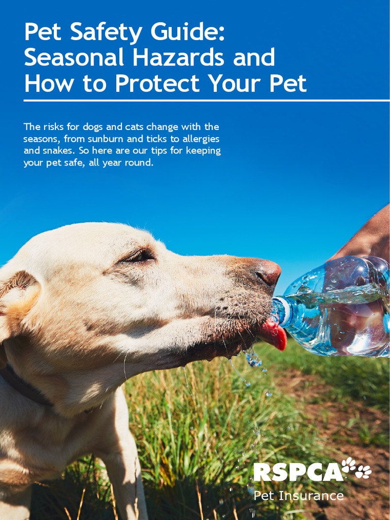 Pet Safety | PDF