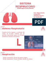 Sistema Respiratorio1