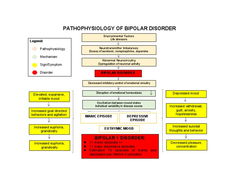 Bipolar 1 Disorder