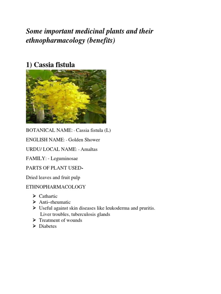 Medicinal Plant PDF Coriander Diseases And Disorders