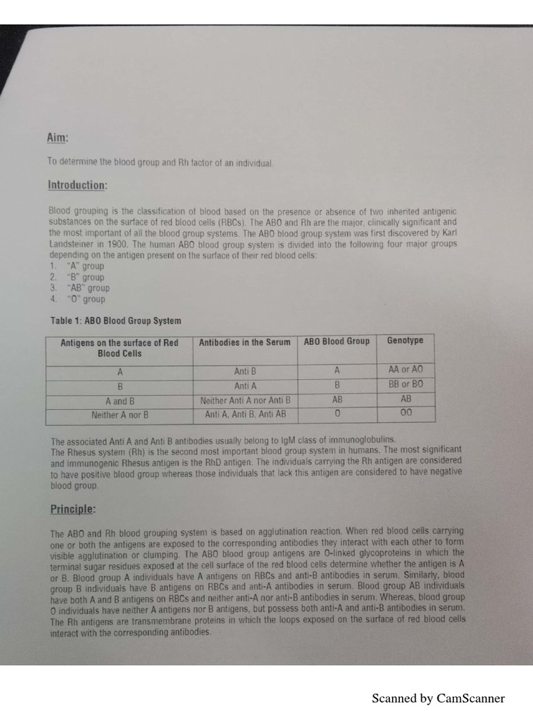 Blood Group Practical | PDF