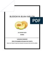 Proposal Budidaya Melon