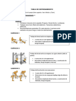 Tabla de Entrenamiento Diego