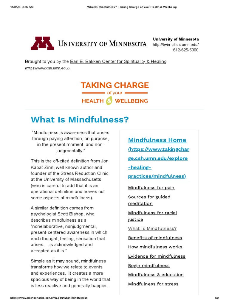 Understanding Mindfulness Basics | PDF | Mindfulness | Psychology