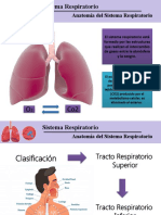 Seminario Tema 6 Respiratorio