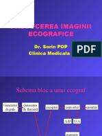 Prelucrarea Imaginii Ecografice