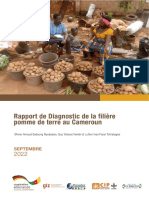 Rapport de Diagnostic