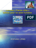 Animales y Plantas Útiles y Dañinas Parar Los