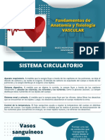 1 Tema 2 Anatomia Vascular