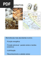 Carboidratos+-+biquimica