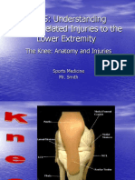 Knee Anatomy and Injuries