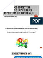 Necesidades Educativas Especiales