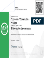 4208217a-2049-4e8d-9cfb-59cfb867c036_certificado