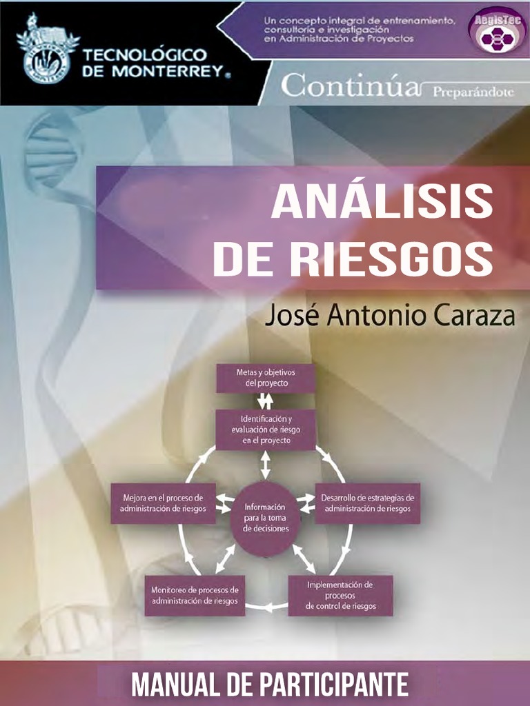 Manual Analisis de Riesgos | PDF | Gestión de proyectos | Business