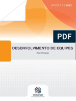 Desenvolvimento de Equipes