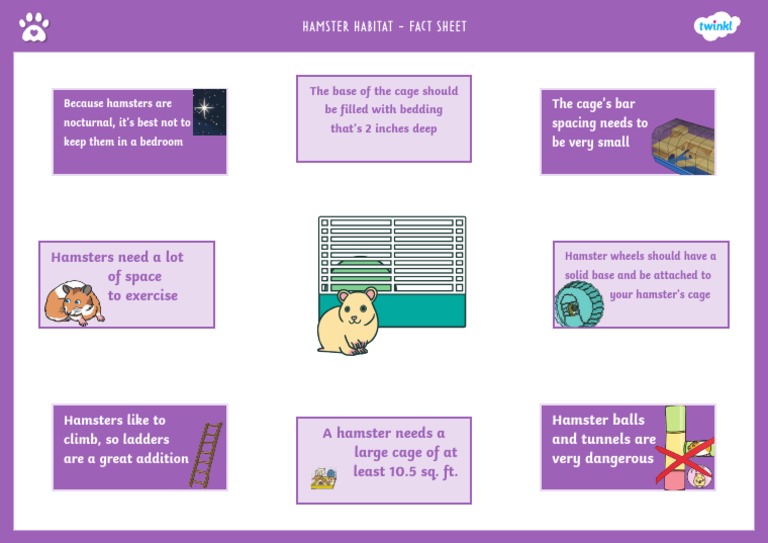 Hamster Habitat Fact Sheet | PDF - Senior Hamster Habitat Size