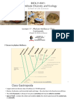 Lecture 17 - Mollusca - Class Gastropoda