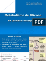 Via Glicolítica IV