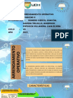 Arrendamiento Operativo (Grupo 3)