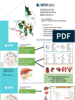 Enzimas de Importancia Biologica