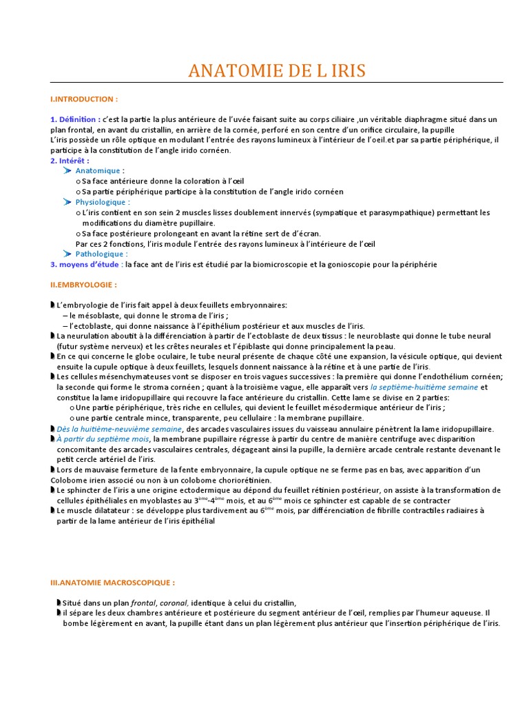 Anatomie et Fonction de l'Iris | PDF | Nerf | Cornée