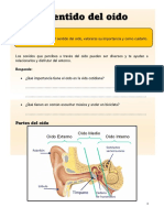 El Sentido Del Oído