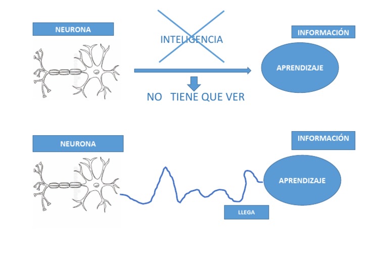 d30 I Aprendizaje Neurona Nee | PDF