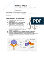 Generalidades de Sistema Oseo. Columna Vertebral