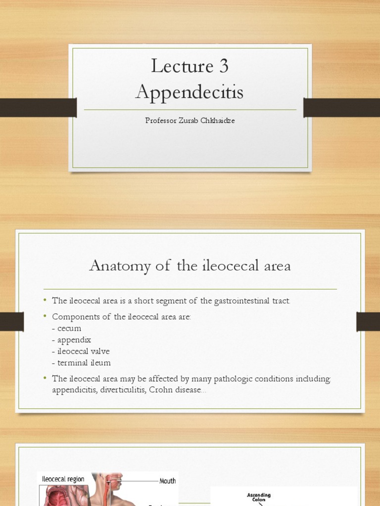 Surgery Lect 3 Appendix | PDF