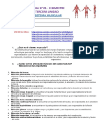 Ficha N 01 Sisitema Muscular - (3 - 4) - Jco-Rfr