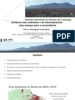 Washington Rocha - Coordenador Do Sistema de Alerta de Desmatamento Do Bioma Caatinga - SAD Caatinga
