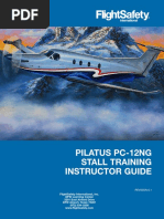 Pilatus PC12NG Stall Training