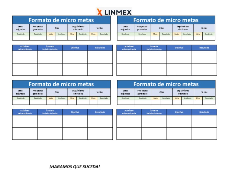 Formato de Micro Metas | PDF