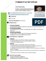 Curriculum Vitae Richard CM