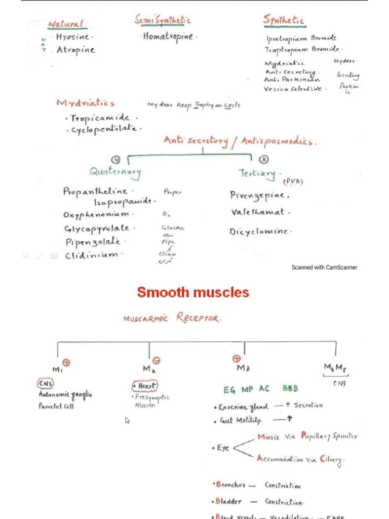 PARASYMPATHOLYTIC AGENT DEFINITION visual data 3