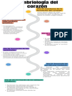 Embriología Del Corazón