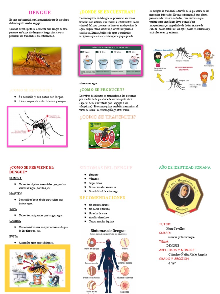 Prevención y Síntomas del Dengue | PDF | Salud pública | Microbiología