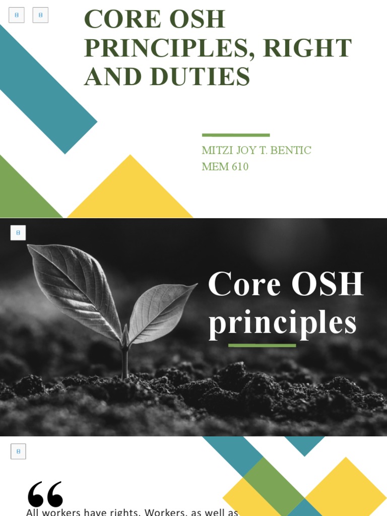 Core Principles of Occupational Safety | PDF | Occupational Safety And ...