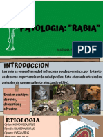 Virus de La Rabia-Patologia