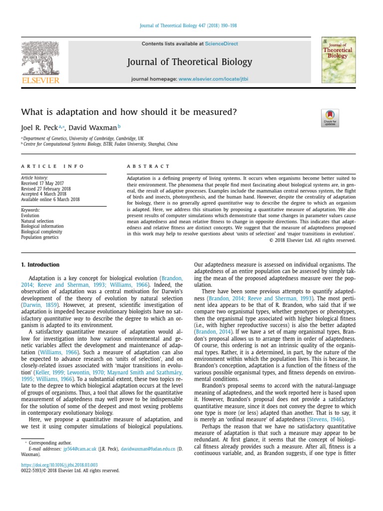 The Adaptation Level And You A Guide To Lasting Satisfaction - ht0nqai